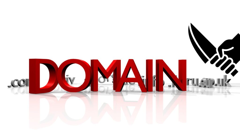 Avoid a Digital Disaster: Domain Hijacking Prevention and Response in 2025 3 Avoid a Digital Disaster: Domain Hijacking Prevention and Response in 2025